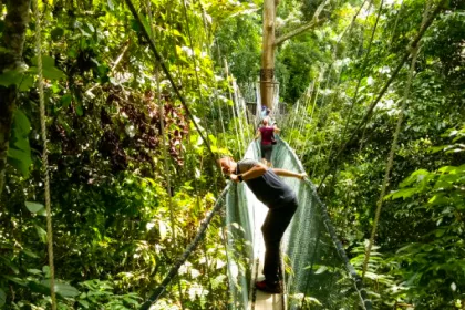 Canopy tour Maleisisch Borneo