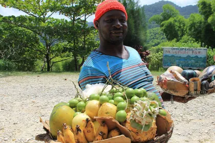 Rondreis Jamaica Foodie's Heaven