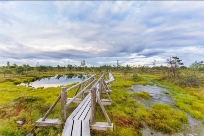 Jurmala NP Letland Baltische Staten