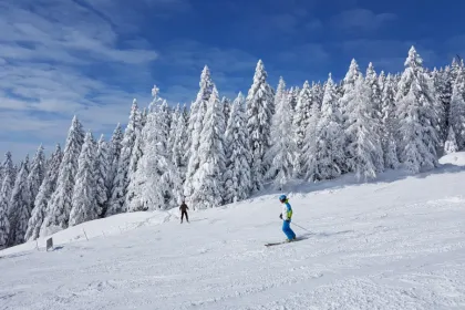 Skien Slovenie
