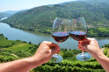 Wijn in de Douro vallei