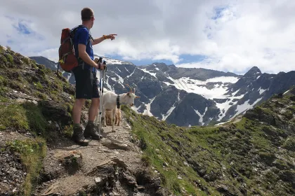Ga voor een wandeltocht door de bergen tijdens een rondreis Oostenrijk 