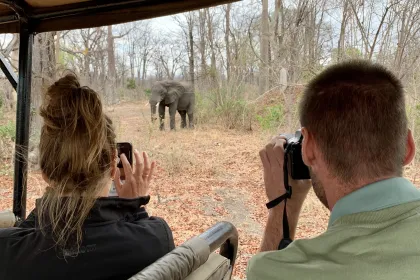 Malawi game drive