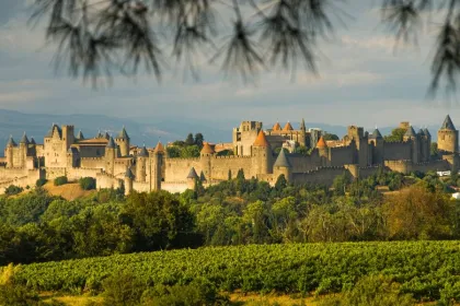 Frankrijk Carcassonne kasteel