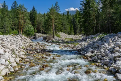 Riviertje in de omgeving van Bansko, Bulgarije