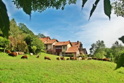Hotel in de bergen met schapen.
