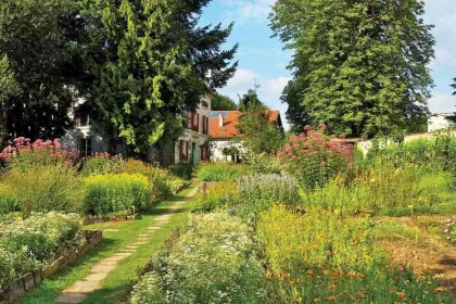 Tuin van accommodatie met bloemen.