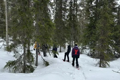 Sneeuwschoenwandelen