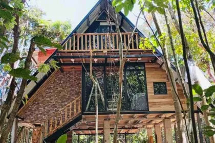 Accommodatie cabin in de jungle in Penomene.