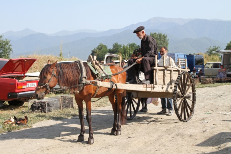 Georgië locals paard en wagen