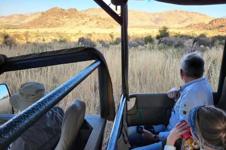 Klantfoto Zuid-Afrika, olifanten safari.