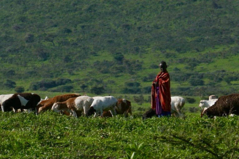 Landschap in Tanzania.