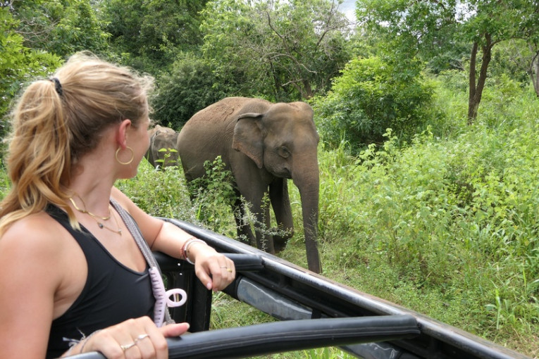Vrouw staat in een safari auto en ziet een olifant.
