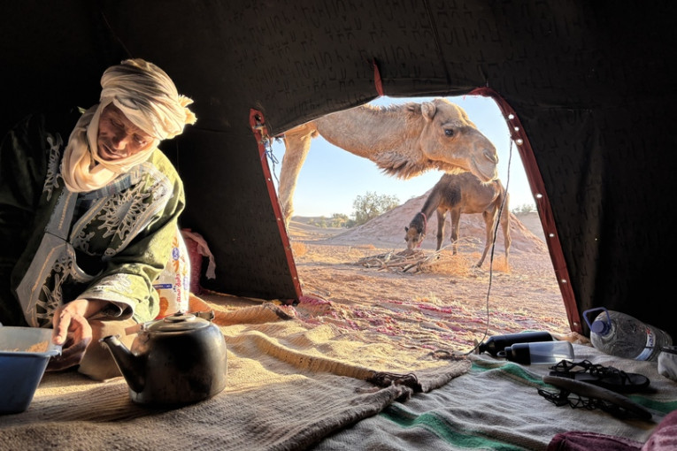 Man schenkt thee in een tent in Marokko, terwijl kamelen nieuwsgierig naar binnen kijken.