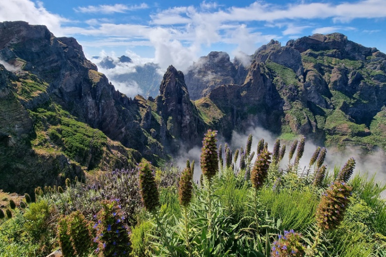 De natuur op Madeira.
