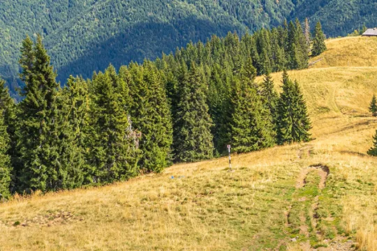 Roemenie rondreis wandelaar in bergen 