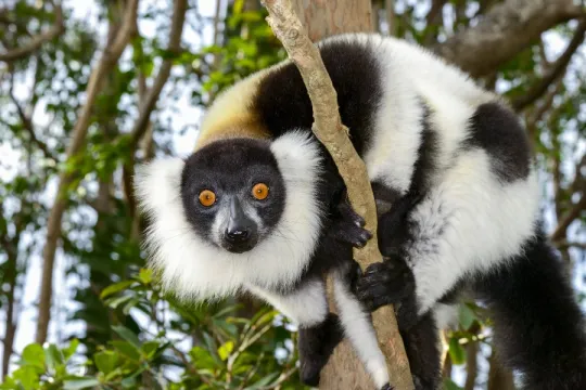 Madagaskar rondreis