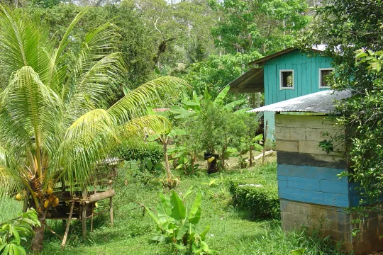 Rondreis Panama Bocas del Toro huisje