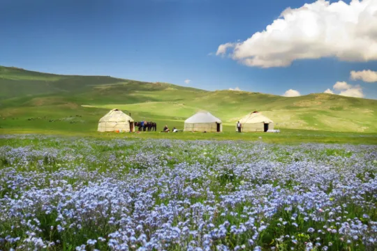 Kirgizië yurts