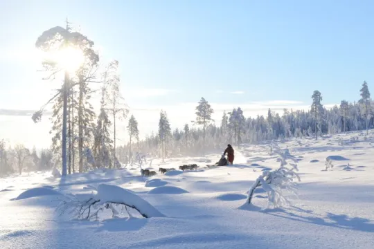 Winterreis Lapland huskyslee