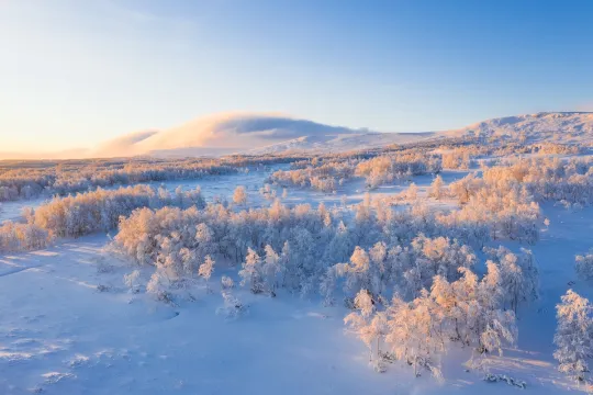 Zweden winterreis