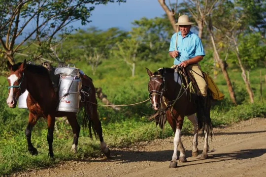 Nicaragua vakantie man met paarden