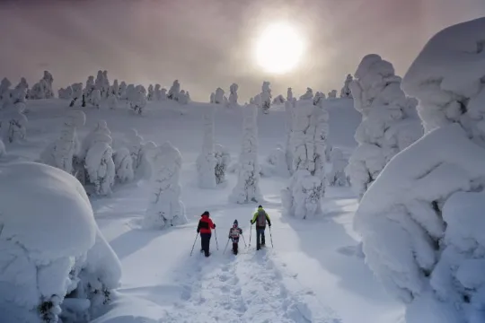 Fins Lapland winter Ruka Kuusamo