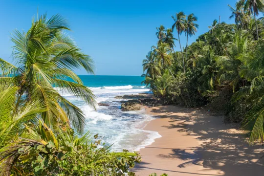 Costa Rica - Cahuita strand bij Puerto Viejo.