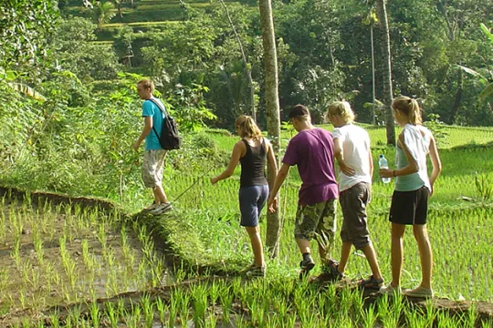 Indonesie familiereis wandeling rijstvelden