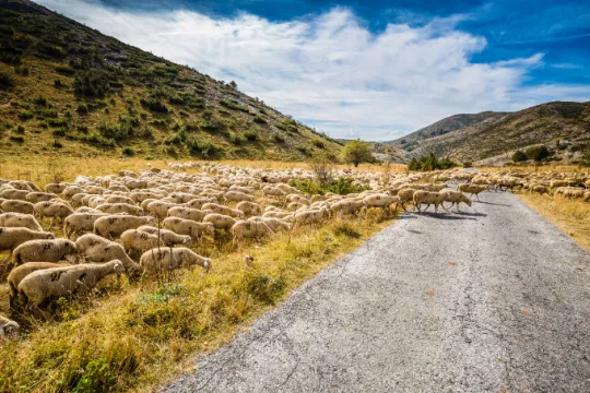 Macedonie Mavrovo NP SSH.