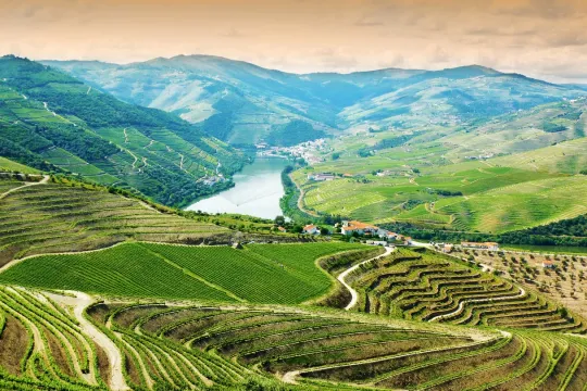 Douro vallei landschap met veel natuur en groen.