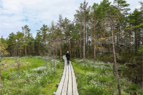 Wandelen in Lahemaa National Park.