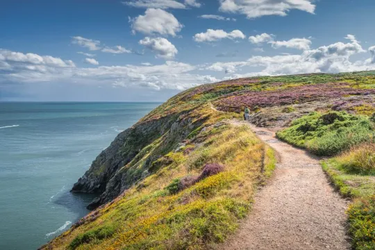 Pad langs de kust van Ierland.