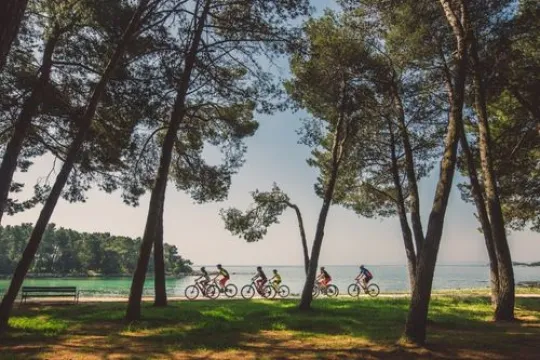 7 fietsers fietsende in de natuur.