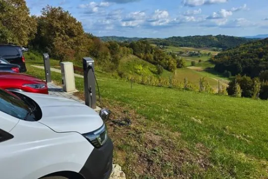 Een laadpaal met de voorkanten van een elektrische auto in de natuur.