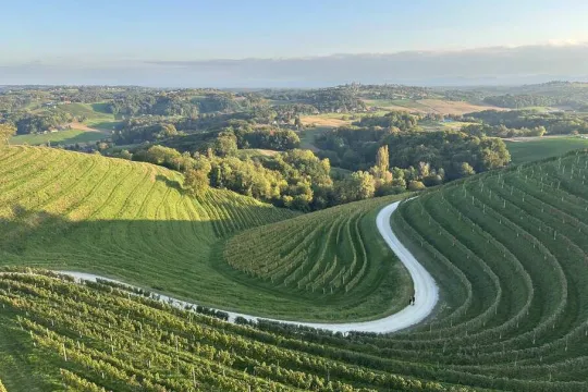 Wijnroute in Medimurje