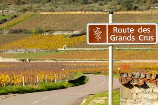 Fietsbord van de Route des Grands Crus naast een landweggetje dat verder slingert tussen de Franse heuvels met herfstkleurige wijngaarden.