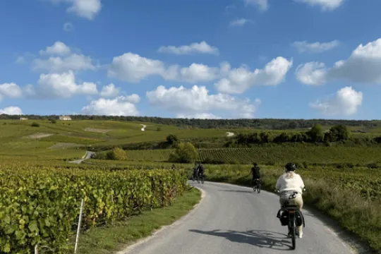 Een groep fietsers rijdt over een landelijke weg door uitgestrekte wijngaarden en glooiende heuvels, onder een blauwe lucht met verspreide witte wolken.