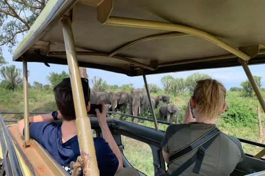 Reizigers bekijken olifanten vanuit een safarivoertuig.