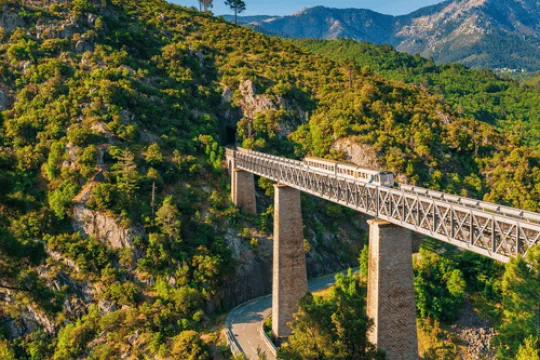 Trein die over een viaduct rijdt in het groene landschap van Corsica tussen de bergen.