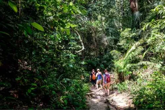 Gezin dat wandelt door Penang National Park tussen de groene begroeiing.