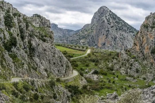 Kronkelende weg langs stenen bergen en groene velden met olijfbomen in Andalusië.