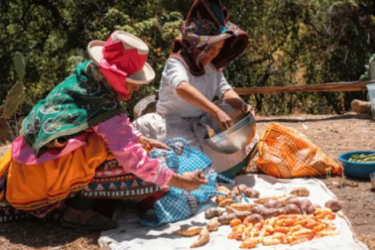 Twee Peruaanse vrouwen in traditionele kleding bereiden aardappelen en groenten voor tijdens een Pachamanca ritueel in Peru.